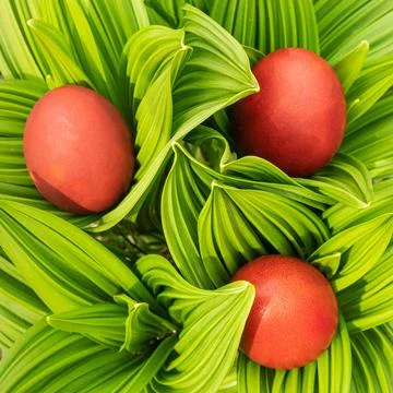 Home-made red Easter eggs in a spring garden Stock Photos
