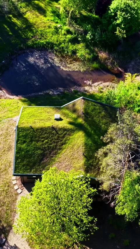 Home with mossy rooftop in forest landscape Vidéo 336762276