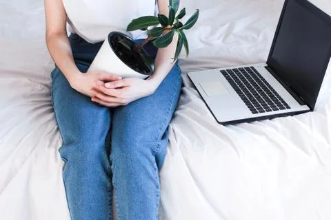 Home office in bed Stock Photos