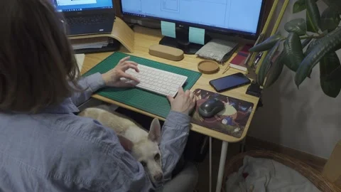 Home office with pet Stock Footage