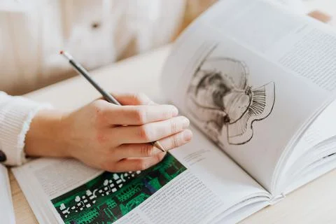 HOME OFFICE Stock Photos