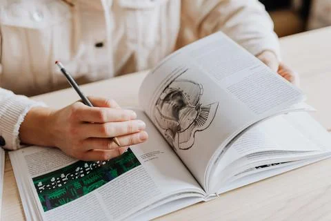 HOME OFFICE Stock Photos