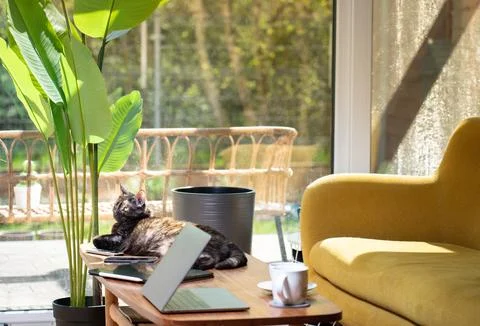 Home office Stock Photos