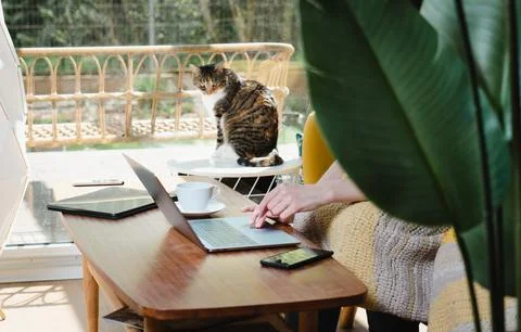 Home office Stock Photos