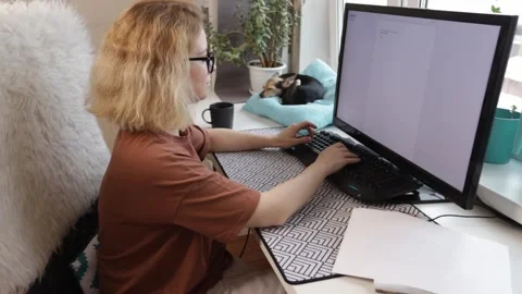 Home office, woman using computer, pet dog by her side, remote work, distan.. Video stock 264955927