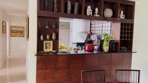 Home Owners, Kitchen Designs, Private Residences, Artwork Collections Stock Footage 336937723