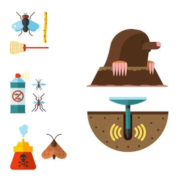 Home pest insect vector control expert vermin exterminator service pest insect Stock Illustration