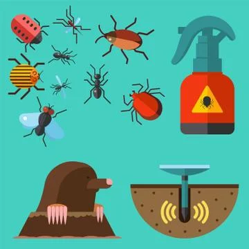 Home pest insect vector control expert vermin exterminator service pest insect Stock Illustration