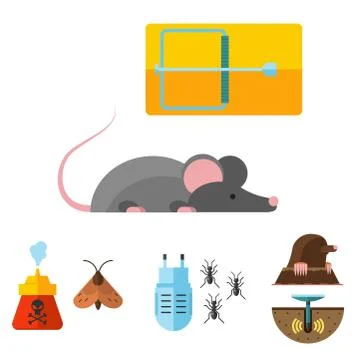 Home pest insect vector control expert vermin exterminator service pest insect Stock Illustration