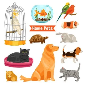 Home Pets Set Illustrazione stock