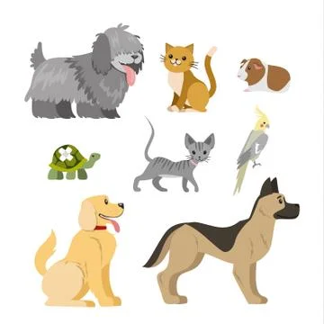 Home pets set. Stock Illustration