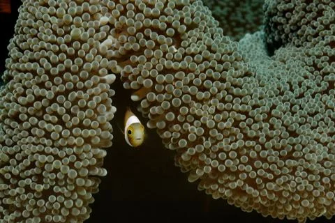 At home Stock Photos