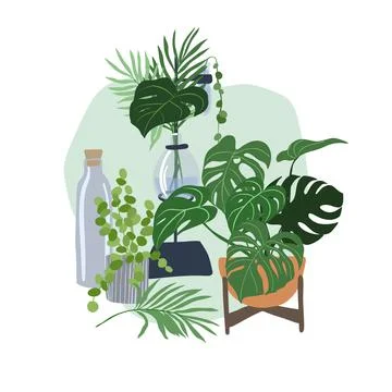 Home plants composition with a glass flask Stock Illustration