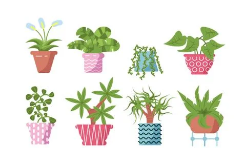 Home plants set Stock Illustration
