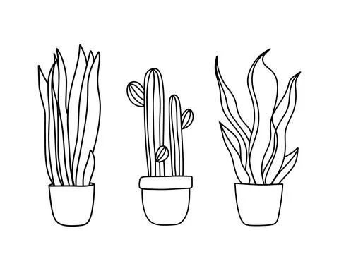 Home Plants set, in pots Stock Illustration
