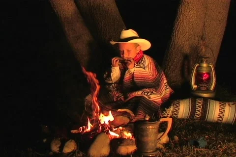 HOME ON THE RANGE Stock Footage 313391