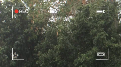 Home Recording Of Storm Stock Footage 33936028