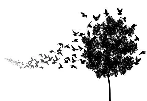 Home to roost Stock-Illustration