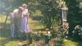 HOME Rose GARDENING Bushes Gardeners Couple 1950s Vintage Home Film Movie 205 HD Footage