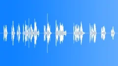 Home RunSound Effect