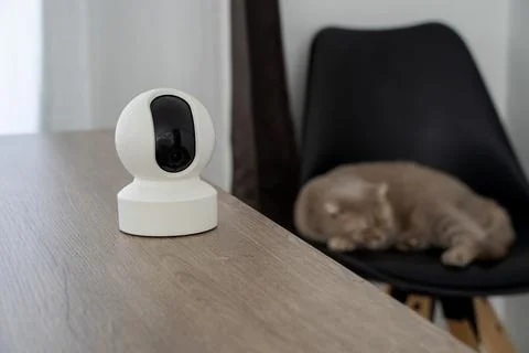 Home security camera Smart CCTV cameras detect your beloved cat for safety. Stock Photos