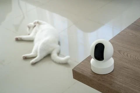 Home security camera Smart CCTV cameras detect your beloved cat for safety. 스톡 사진