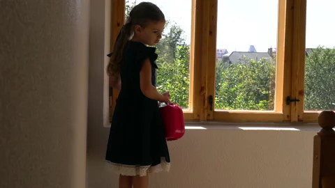 Home studying Stock Footage 139288659