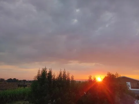 Home with the sun between the trees Stock Photos