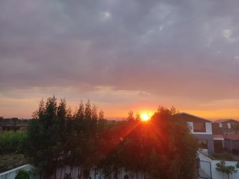 Home with the sun between the trees Stock Photos