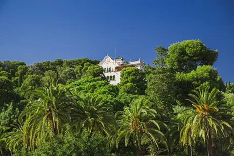 Home in the tree Stock-Fotos