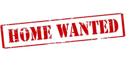 Home wanted Stock Illustration