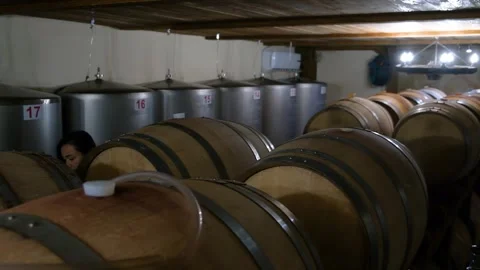 Home Wine Cellar. Wine Vault. Wine cellar at the winery. Stock Footage 249942083
