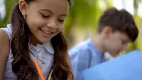 Home work on fresh air with classmate Stock Footage 126729569