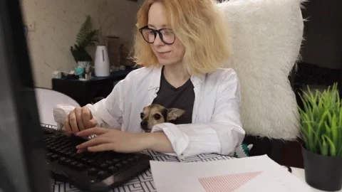 Home workspace, woman using computer, small dog companion, remote work,onli.. Video stock 265679087