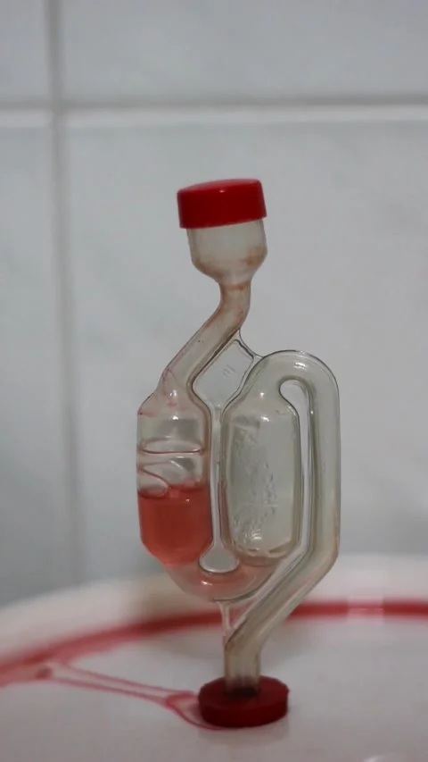 Homebrew wine bubbling in airlock Stock-Footage 115629079