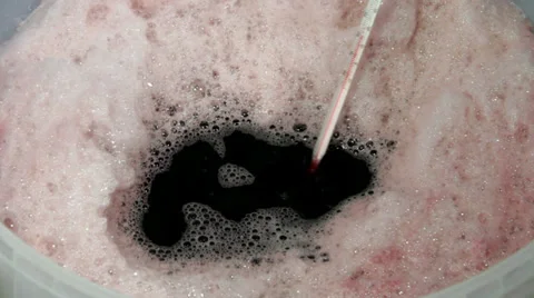 Homebrew wine  kit - checking the temperature Vidéo 36114921