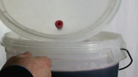 Homebrew wine  kit - fitting the fermenter lid Stock Footage 35796141