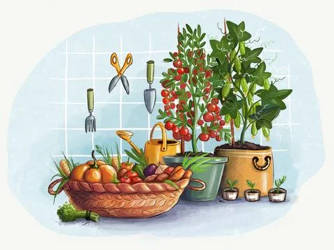 Homegrown Stock Illustration