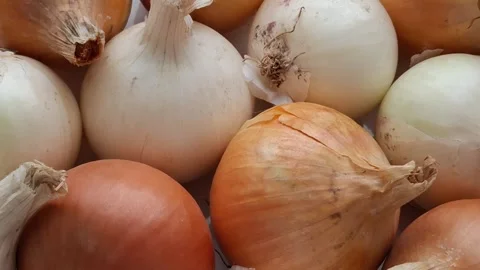 Homegrown onion Stock-Footage 344480029
