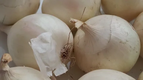 Homegrown white onion Stock-Footage 344480036