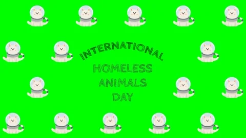 Homeless Animals Day Pop-Up, Pattern Characters: Green Screen Essentials Video stock 279198989
