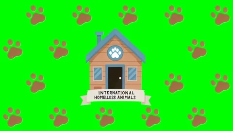 Homeless Animals Day Pop-Up, Pattern Characters: Green Screen Essentials Vídeo Stock 279198991