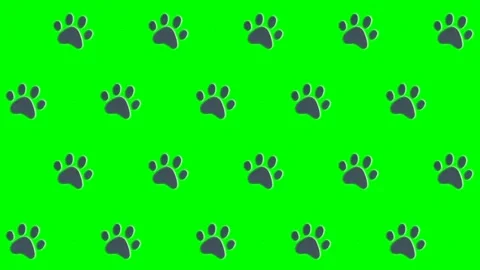Homeless Animals Day Pop-Up, Pattern Characters: Green Screen Essentials Video stock 279199000