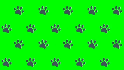 Homeless Animals Day Pop-Up, Pattern Characters: Green Screen Essentials Video stock 279199006