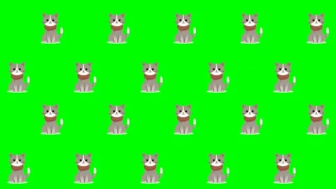 Homeless Animals Day Pop-Up, Pattern Characters: Green Screen Essentials Video stock 279199015
