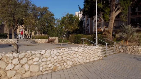 Homeless cat studies a drone Stock Footage 126282603