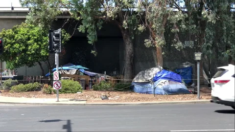 Homeless encampment alongside freeway structure Video stock 221653511
