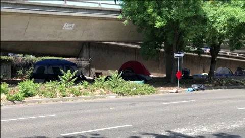 Homeless encampment under elevated freeway Vidéo 221653508
