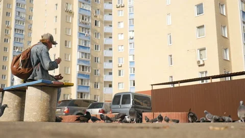 A homeless man eats bread on a bench and feeds pigeons. Slow motion. Sunny day Stock Footage 127688579