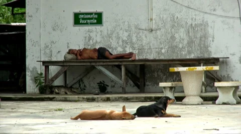 Homeless Man Lays On Bench 스톡 동영상 1089361